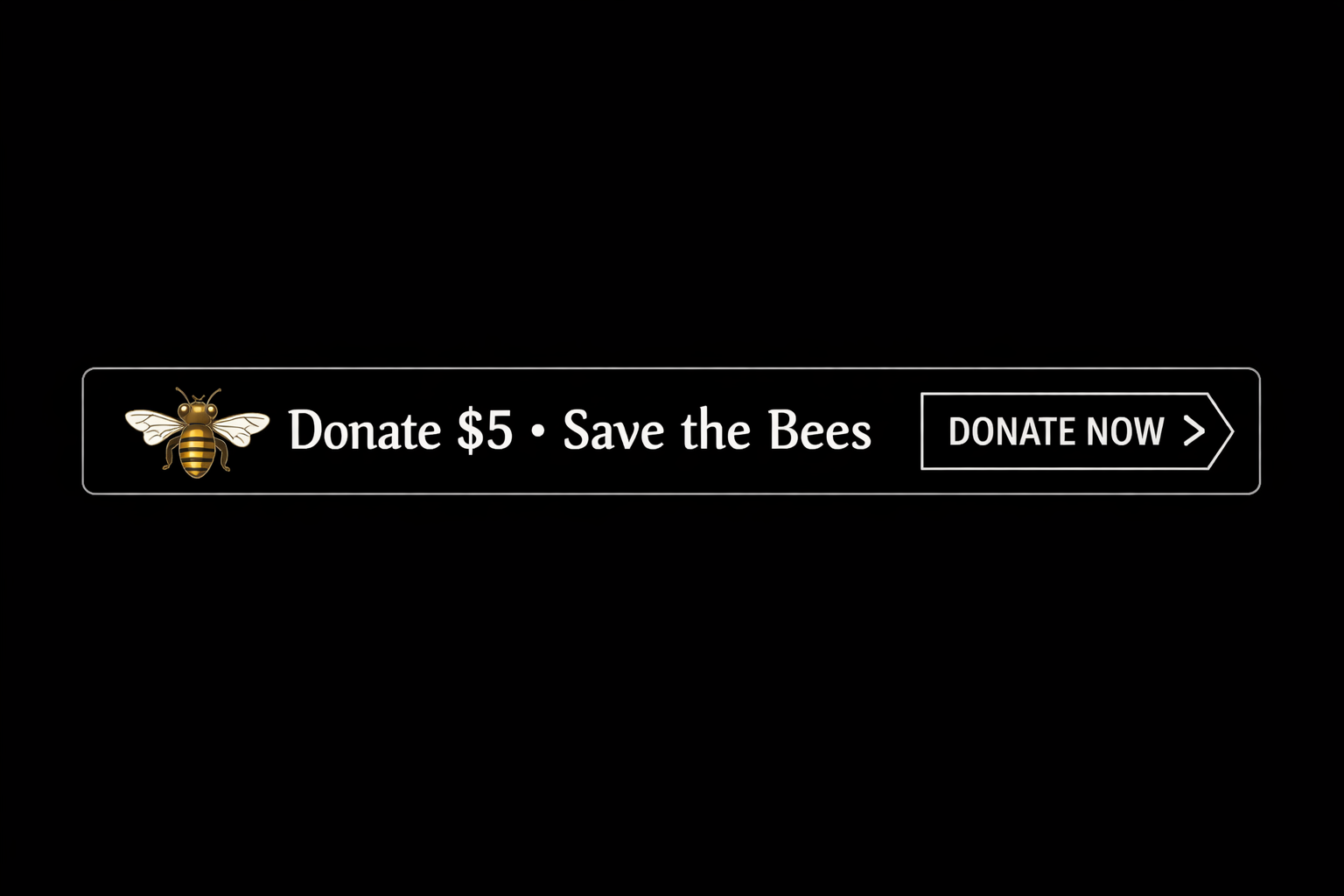 $5 Donation.